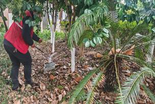 微信图片_20251222181040_22_390